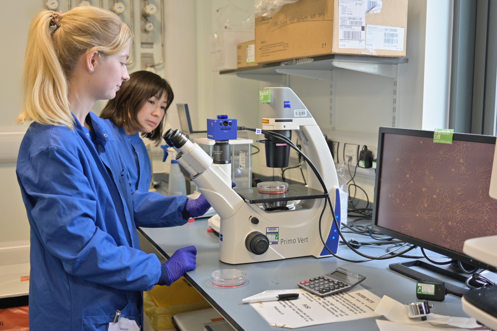 Co-author Madeline Eve and Asami Oguro-Ando, University of Exeter 